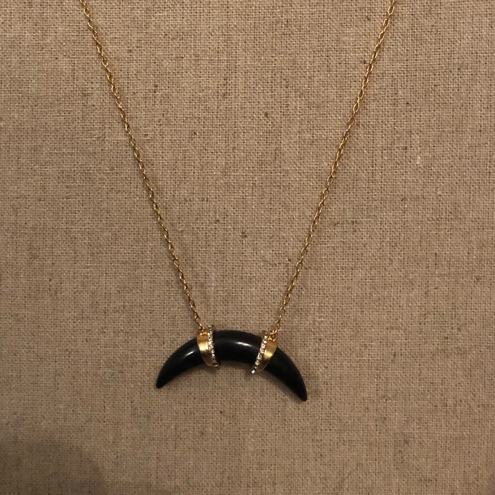 Stella & Dot Horn Necklace